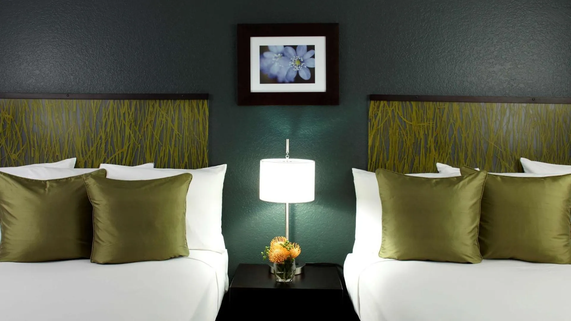 Skyline Island Colony Hotel Honolulu 3*,  Stany Zjednoczone Ameryki